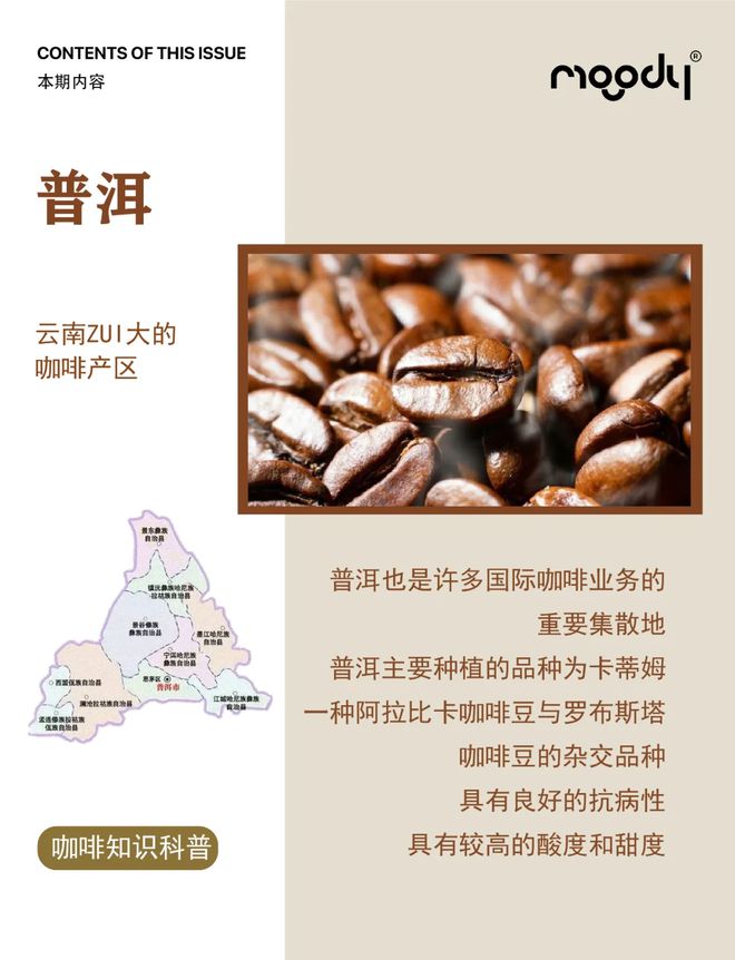 彩云之南的馥郁传奇开元棋牌云南咖啡：(图4)