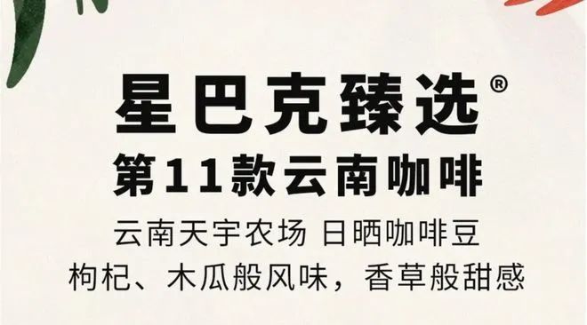 彩云之南的馥郁传奇开元棋牌云南咖啡：(图17)