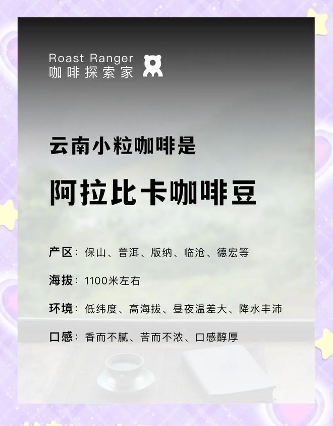 彩云之南的馥郁传奇开元棋牌云南咖啡：(图18)