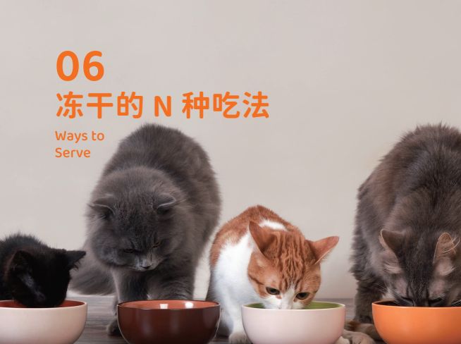 零食界的“黑科技”宠物冻干开元棋牌试玩象乡宠物食品(图5)